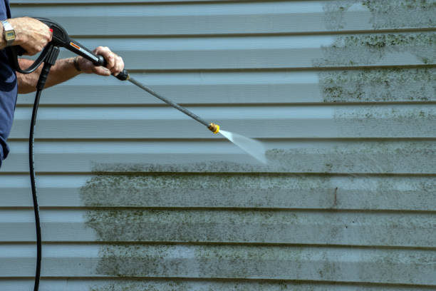 Best Roof Power Washing Services  in Ruleville, MS